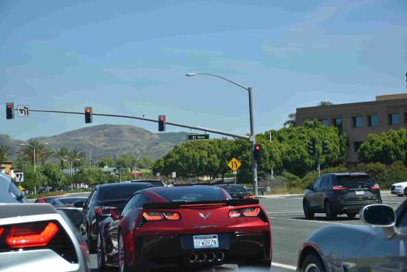 DSC_0175_01