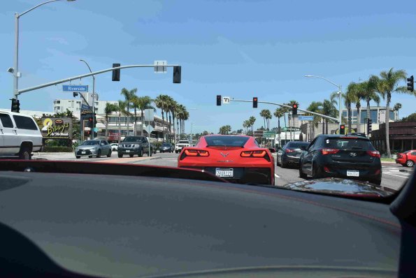 DSC_0206_01