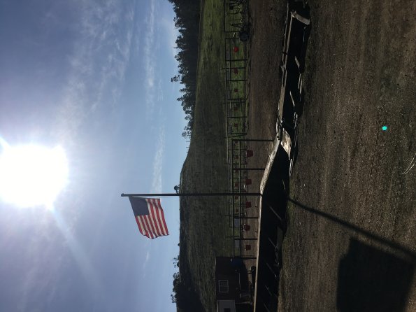 Cambria Covell Flag