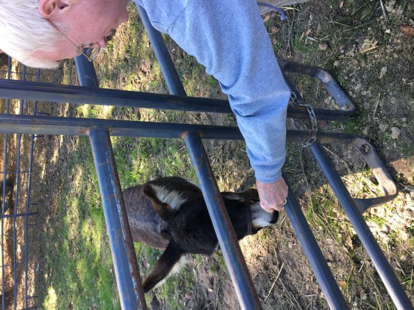 Cambria SAwko Melvin