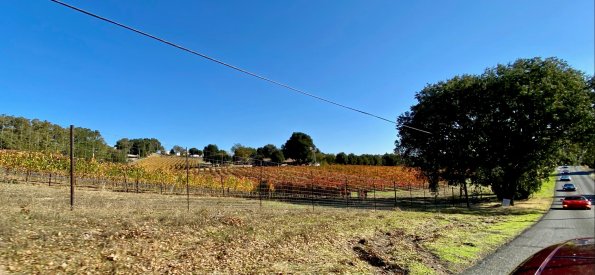 Cambria Winery