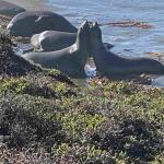 Cambria_2021_0004_01 (November 05, 2021)