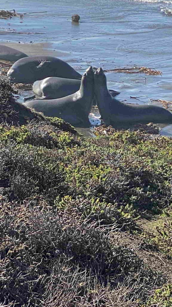 Cambria_2021_0004_01