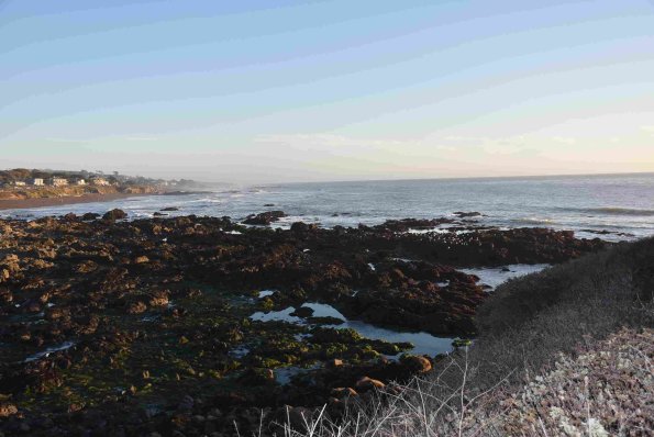 DSC_0063_01