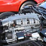 DSC_0089_01 (October 24, 2021)