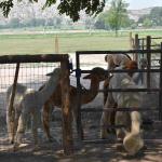 DSC_0197_01 (July 12, 2021)