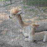 DSC_0201_01 (July 12, 2021)