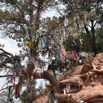 DSC_0227_01 (July 12, 2021)