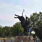 DSC_0254_01 (July 13, 2021)