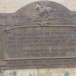 DSC_0319_01 (July 13, 2021)