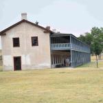 DSC_0323_01 (July 13, 2021)