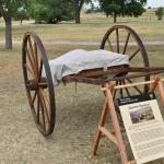 DSC_0327_01 (July 13, 2021)