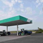 DSC_0352_01 (July 13, 2021)