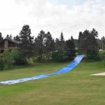 DSC_0385_01 (July 14, 2021)