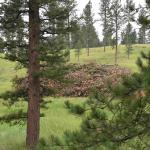 DSC_0388_01 (July 14, 2021)