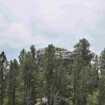 DSC_0408_01 (July 14, 2021)