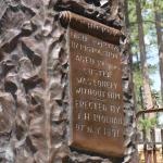 DSC_0476_01 (July 15, 2021)