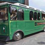 DSC_0736_01 (July 17, 2021)