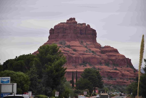 DSC_0943_01