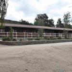 DSC_0029_01 (April 25, 2021)