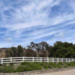 Giracci-Vineyards-Cruise ()