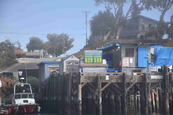 DSC_0129_00077