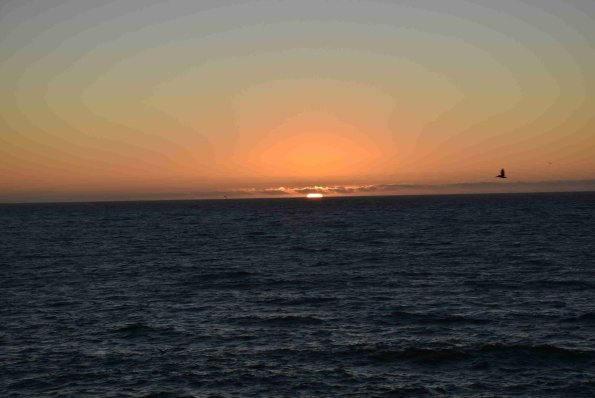DSC_0215_00131