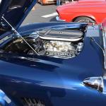 DSC_0093_00053 (October 08, 2022)