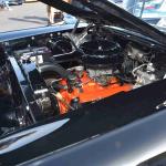 DSC_0101_00061 (October 08, 2022)