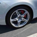 DSC_0111_00071 (October 08, 2022)