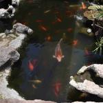 DSC_0022_00016 (June 02, 2022)