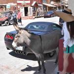 Laughlin (January 05, 2023)