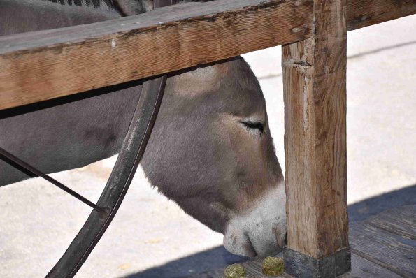 DSC_0353_00117