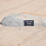 DSC_0095_00091 (July 11, 2022)