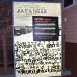 DSC_0100_00096 (July 11, 2022)