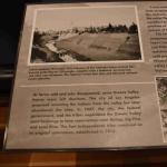 DSC_0110_00106 (July 11, 2022)