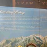 DSC_0113_00109 (July 11, 2022)