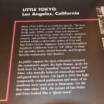 DSC_0116_00112 (July 11, 2022)