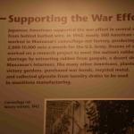 DSC_0132_00128 (July 11, 2022)