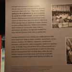 DSC_0133_00129 (July 11, 2022)