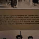 DSC_0142_00138 (July 11, 2022)