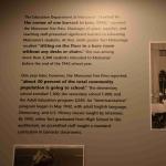 DSC_0144_00140 (July 11, 2022)