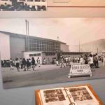 DSC_0145_00141 (July 11, 2022)