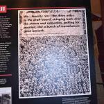 DSC_0179_00175 (July 11, 2022)