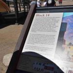 DSC_0181_00177 (July 11, 2022)