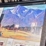 DSC_0182_00178 (July 11, 2022)