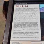 DSC_0183_00179 (July 11, 2022)