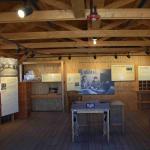 DSC_0186_00182 (July 11, 2022)