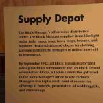 DSC_0192_00188 (July 11, 2022)