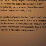 DSC_0194_00190 (July 11, 2022)